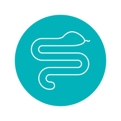 Circle shape with snake wild animal vector illustration