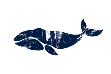 Obraz premium Bowhead Whale. Balaena mysticetus. Whale isolated on a light background. Logo for your design. Ink. Hand drawn.