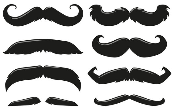 Different types of mustache