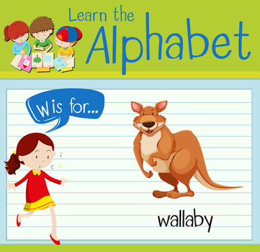 Flashcard letter W is for wallaby