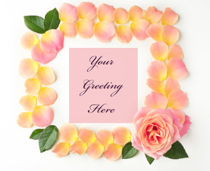 Rose petals with text on white background