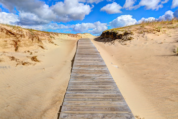 Wooden path into the Grey Dunes. Curonian Spit, Lithuania.