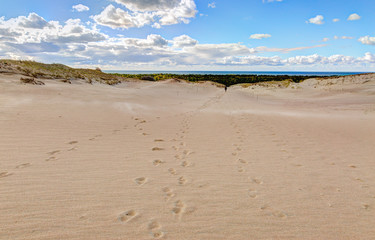 Fototapeta na wymiar Lonely silhouette in the sandy dunes.