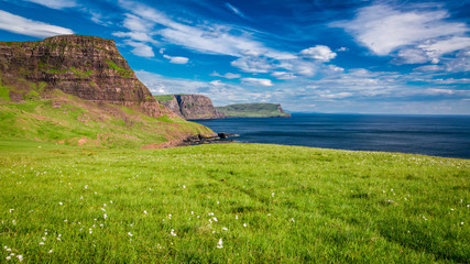 Fototapeta premium Breathtaking view to sheeps on the coast, Scotland, United Kingdom