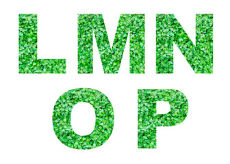 Alphabet L,M,N,O,P of green grass isolated on white. Abstract alphabet.