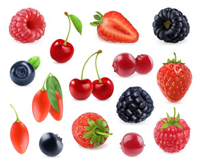 Forest berry. Sweet fruit. 3d vector icons set. Realistic illustration © Natis