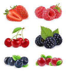 Forest berry. Sweet fruit. Realistic illustration. 3d vector icon set © Natis
