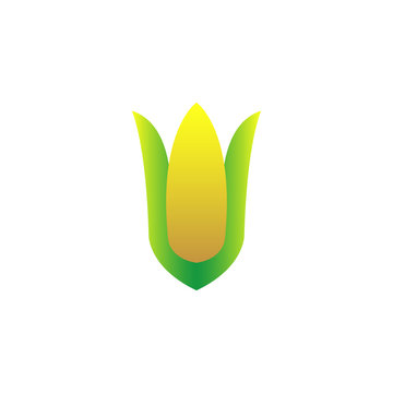 Corn Icon Vector