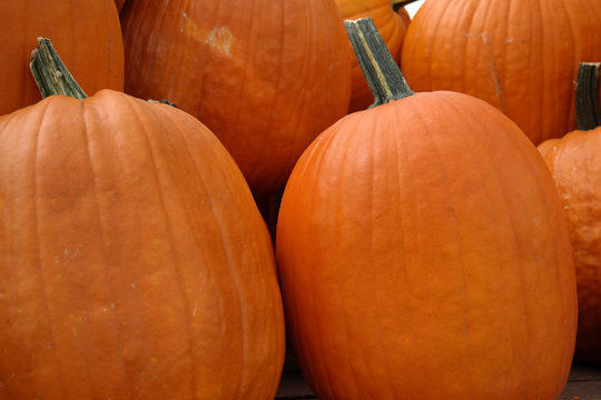 Halloween Jack-o-Lantern Pumpkins