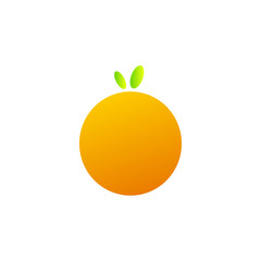 Orange Vector