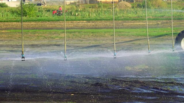 Farm irrigation system with drop sprinklers at wheat field