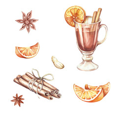 Mulled wine,oranges,cinnamon.Hand draw watercolor illustration.