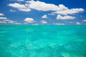 Fototapeta premium Blue sea with waves and blue sky