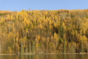 Autumn Colors of Skilak Lake