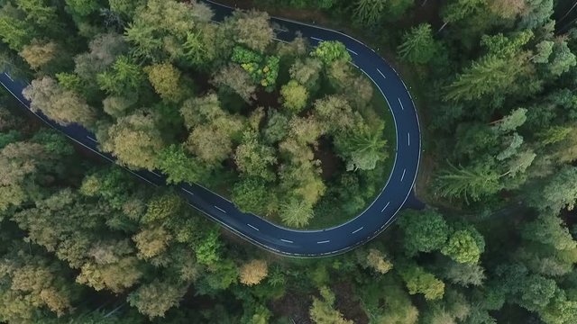 Winding road curves in the forest - aerial view