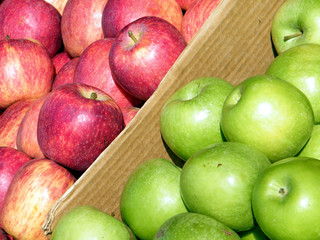 Tel Aviv apples 2011
