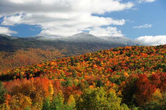 autumn forest and colored trees in the mountain