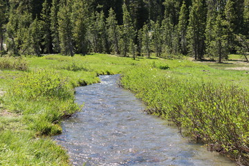 Kings Creek And Meadow