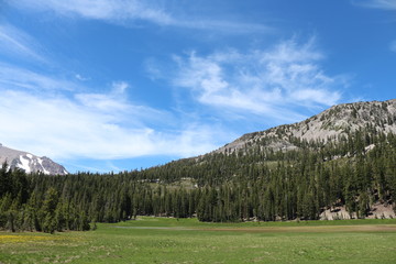 Partial View Of Mount Lassen And Reading Peak