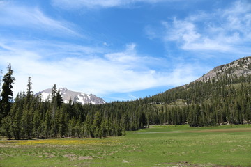 Fototapeta na wymiar View Of Mount Lassen And Reading Peak From Meadow