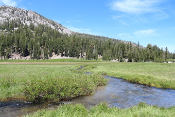 Meadow With Creek 
