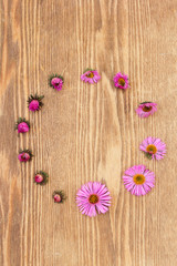 round frame of autumn flowers