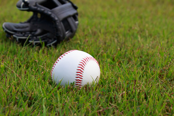 Baseball ball and glove