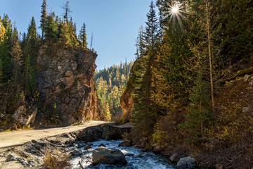 Fototapety na wymiar - Fototapeta24.pl