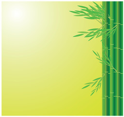 Fototapeta na wymiar bamboo background vector design