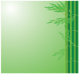 Fototapeta na wymiar bamboo background vector design