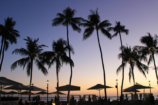 Hawaii resort sunset