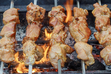 Meat roasted on fire barbecue kebabs  the grill