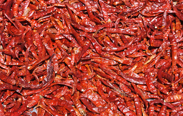 red chili pepper for Thai food.