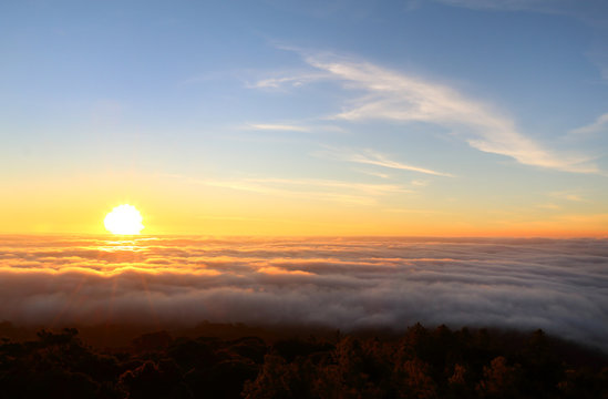 Fototapeta Beautiful sunrise over the fog.