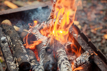 wood fire heat three burning billets in hot stove