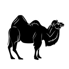 Black silhouette Camel in Walking pose