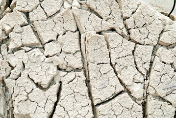 Soil drought cracked texture