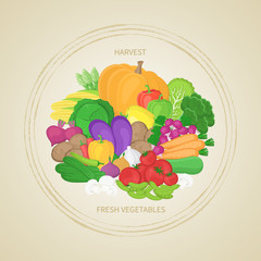 Collection of fresh, healthy vegetables in circle. Autumn harvest. Label, sticker, banner for design. Natural, healthy food concept. Organic food illustration. Vector.