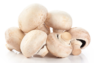 Champignon mushrooms isolated on white background.