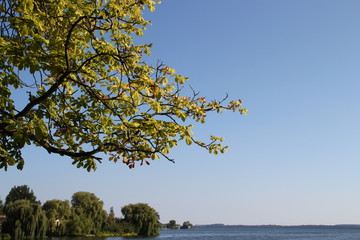 Fototapeta na wymiar Der Schweriner See