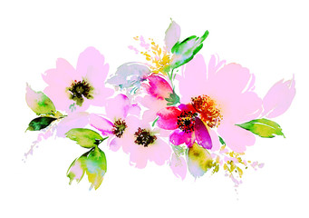 Flowers watercolor illustration