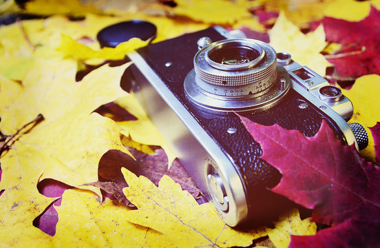Vintage camera on autumn leaves background.Retro camera and colorful maple leaves.Vintage filtered.Selective focus.