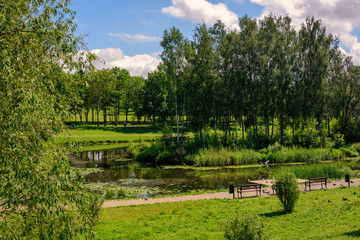 View of the city park in Pskov in the summer in a sunny weather