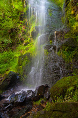 Fototapeta na wymiar Mallyan Spout waterfall at Goathland,England