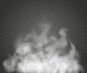 Foto auf Acrylglas Nebel oder Rauch isoliert transparenter Spezialeffekt. Weiße Vektortrübung, Nebel oder Smoghintergrund. Vektor-Illustration © exvanesko