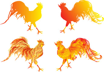 four orange flame roosters on white