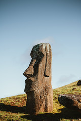Moais of Easter Island