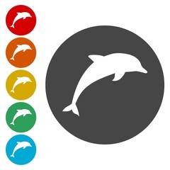 Dolphin circle, flat icons set. Round colorful buttons 