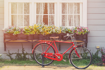 Fototapeta na wymiar Red classic bicycle with flower in home garden