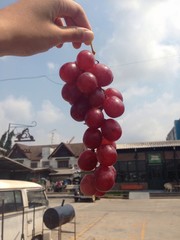 holding grape in the sky